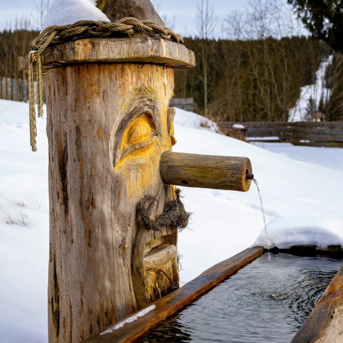 Holzbrunnen im Winter mit schneebedecktem Umfeld, Wasser fließt aus dem Auslauf in die darunterliegende Holzwanne, umgeben von einer winterlichen Landschaft.