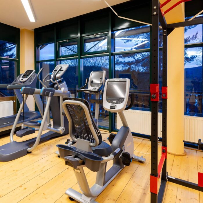 Moderne Fitnessgeräte in einem gut beleuchteten Fitnessraum mit großen Fenstern und Blick auf die Natur. Der Raum ist mit Laufbändern und Fahrrädern ausgestattet, ideal für Cardio-Training.